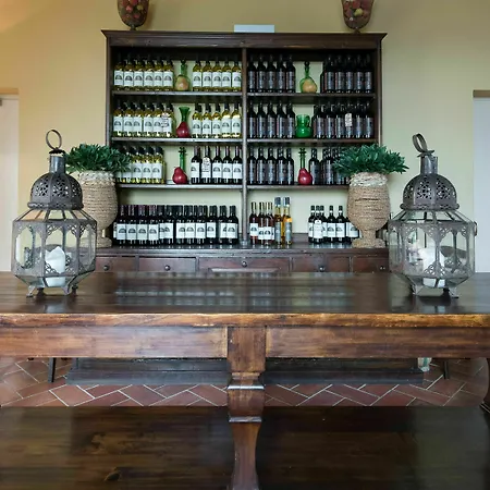 Podere Torricella Apartment Montespertoli
